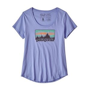 Patagonia Light Blue Graphic Tee